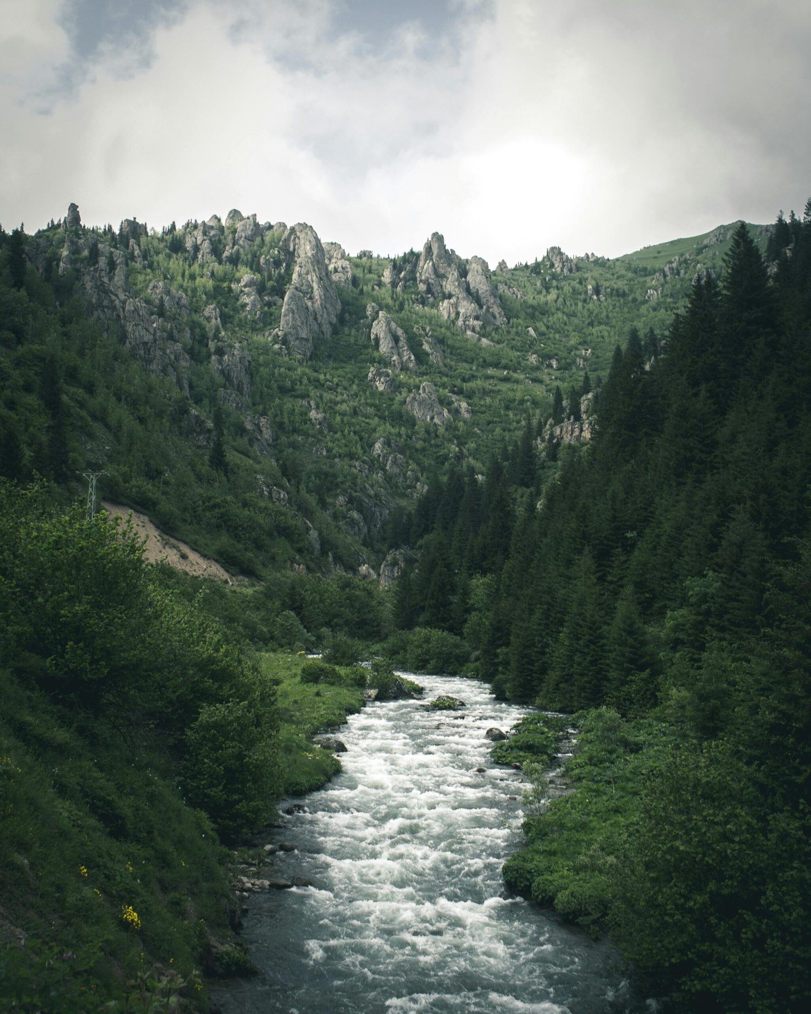 Capture the serene beauty of a flowing river through a lush mountain landscape.